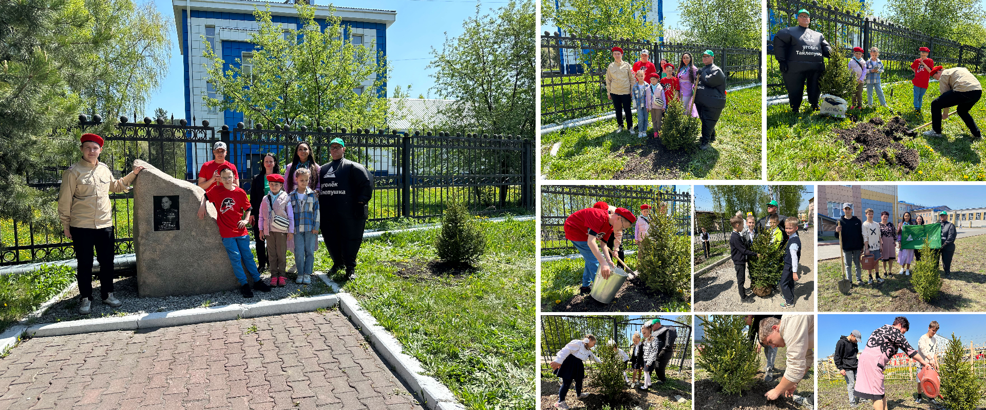 Ели, подаренные ООО «Разрез Тайлепский»,  радуют школьников Калтанского городского округа