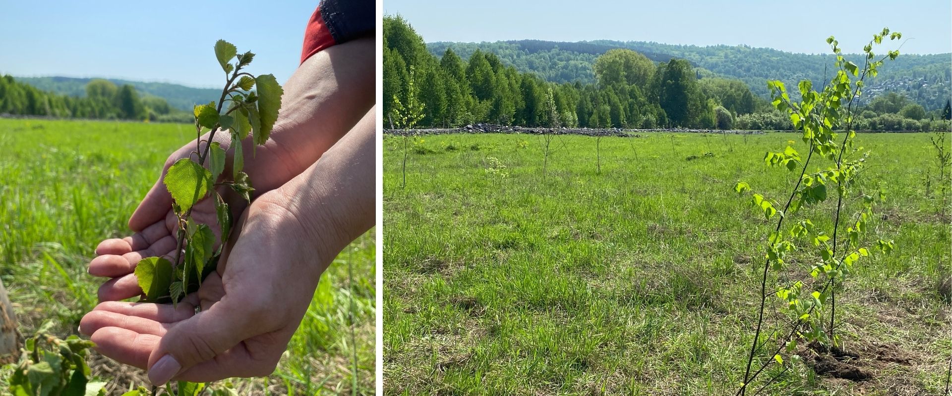 Сберегая то, что тебе доверено