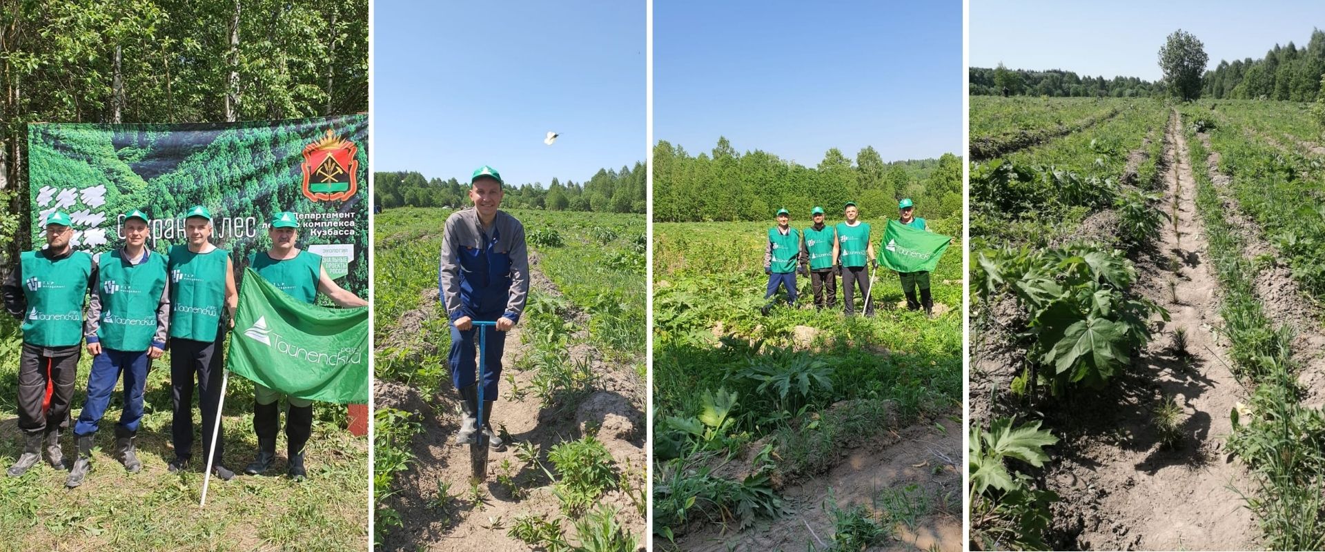Экоотряд ООО «Разрез Тайлепский» поддержал акцию «Единый день посадки леса»