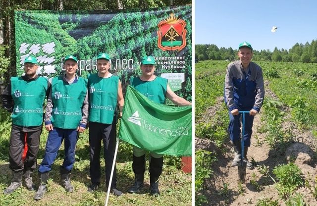 Экоотряд ООО «Разрез Тайлепский» поддержал акцию «Единый день посадки леса»