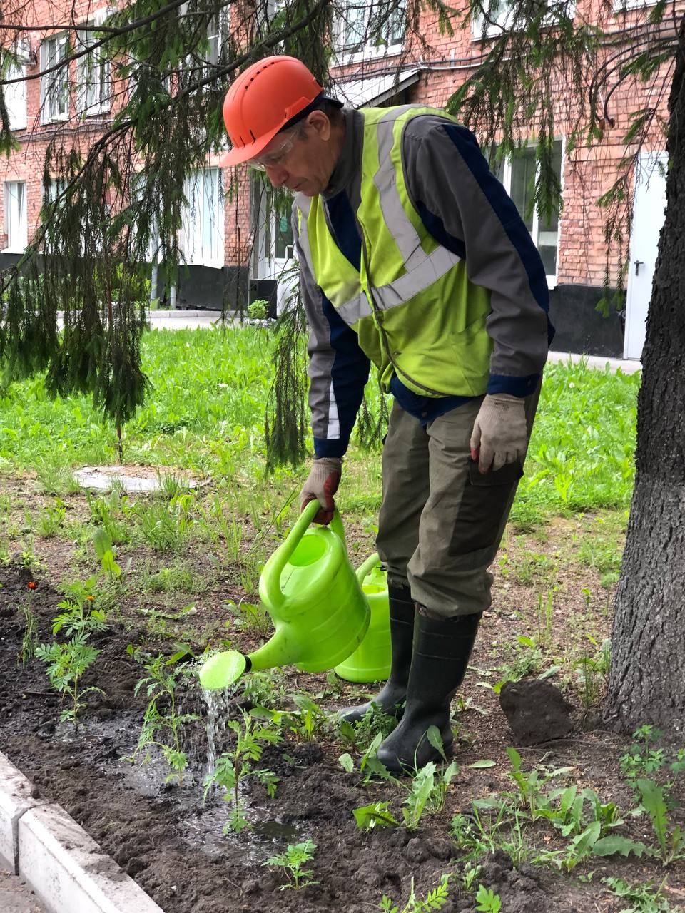 «Разрез Тайлепский» высадил более 300 саженцев цветов на территории предприятия