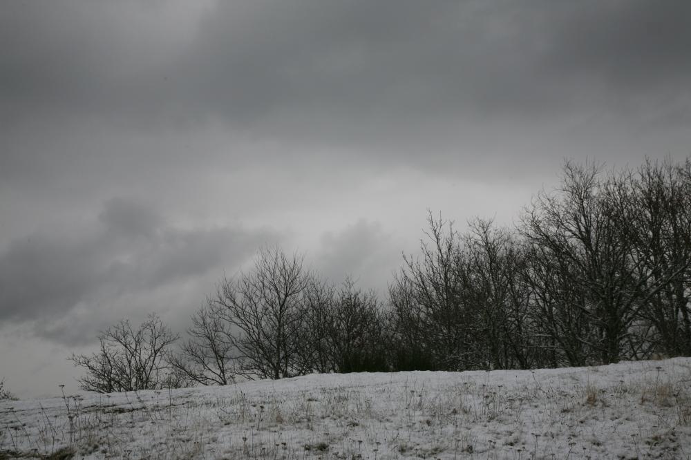 Информационная записка № 1 от 15.01.2026г о проводимых мероприятиях при объявлении режима неблагоприятных метеорологических условий (НМУ) по ООО «Разрез Тайлепский»